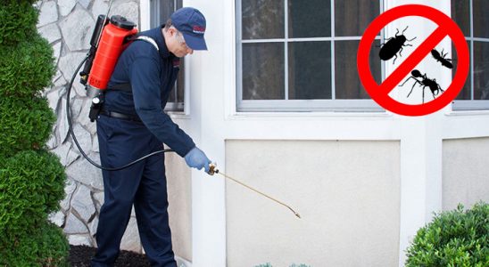 Bahçelerarası Fare İlaçlama böcek ilaçlama ve haşere kontrolü — ilaclama-tr.com